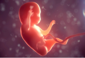 Навчайтеся де завгодно у зручний для Вас час